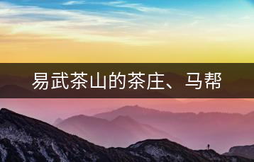 易武茶山的茶莊、馬幫