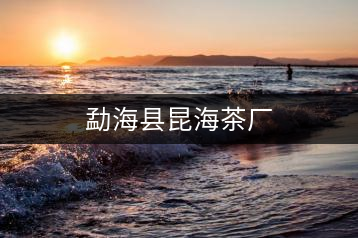 勐?？h昆海茶廠