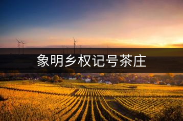 象明鄉(xiāng)權(quán)記號(hào)茶莊