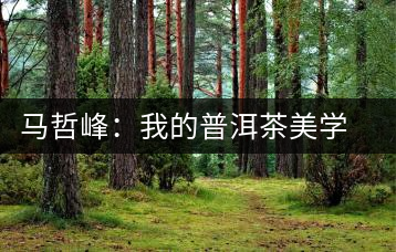 馬哲峰:我的普洱茶美學(xué)主義