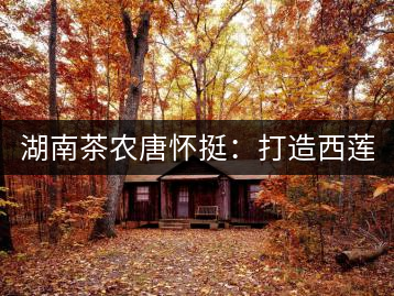 湖南茶農(nóng)唐懷挺:打造西蓮茶葉品牌 做大茶葉產(chǎn)業(yè)規(guī)模