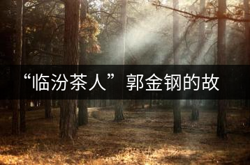 “臨汾茶人”郭金鋼的故事