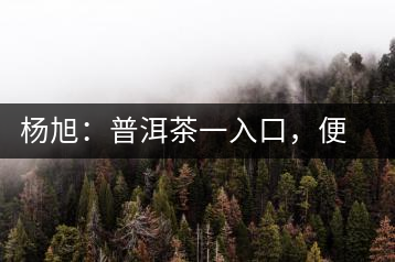 楊旭：普洱茶一入口，便知產(chǎn)地和年份