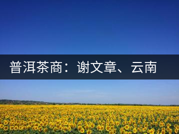 普洱茶商：謝文章、云南谷申商貿(mào)有限公司總經(jīng)理
