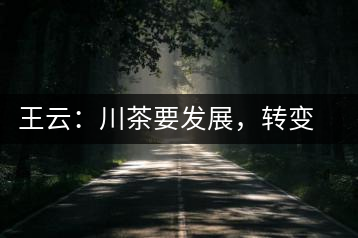 王云：川茶要發(fā)展，轉(zhuǎn)變思想是關(guān)鍵