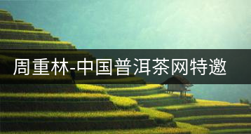 周重林-中國(guó)普洱茶網(wǎng)特邀行業(yè)專(zhuān)家顧問(wèn)