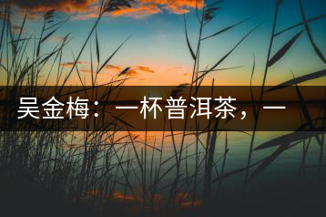 吳金梅：一杯普洱茶，一份云南情