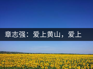 章志強：愛上黃山，愛上黃山的茶