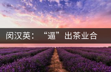 閔漢英：“逼”出茶業(yè)合作社，帶領(lǐng)村民走上致富路