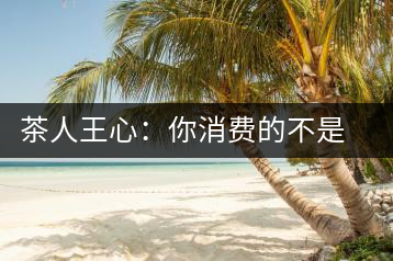 茶人王心：你消費的不是茶，是我