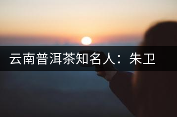 云南普洱茶知名人:朱衛(wèi)東