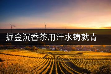 掘金沉香茶用汗水鑄就青春夢(mèng)想