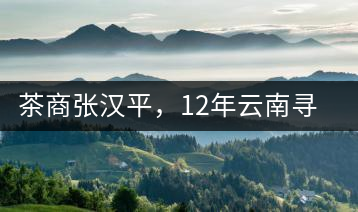 茶商張漢平，12年云南尋茶路