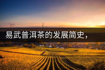 易武普洱茶的發(fā)展簡(jiǎn)史，昔日的貢茶如今依然輝煌