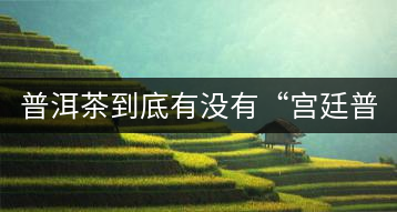 普洱茶到底有沒有“宮廷普洱”一說？它到底是什么？