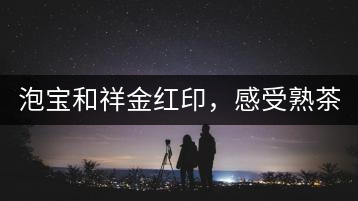 泡寶和祥金紅印，感受熟茶之美。