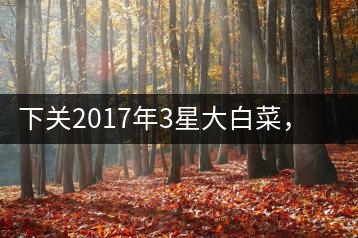 下關(guān)2017年3星大白菜，好茶從未中斷
