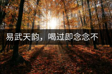 易武天韻，喝過即念念不忘的茶中皇后