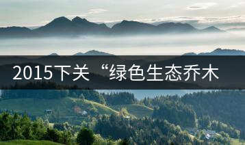 2015下關“綠色生態(tài)喬木老樹茶”開湯