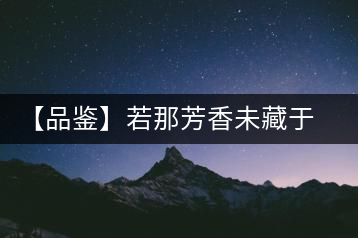 【品鑒】若那芳香未藏于樟野，怎會這般獨具韻味？