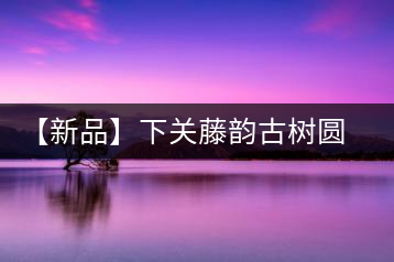 【新品】下關(guān)藤韻古樹(shù)圓茶——“千手觀(guān)音”臨世之風(fēng)骨