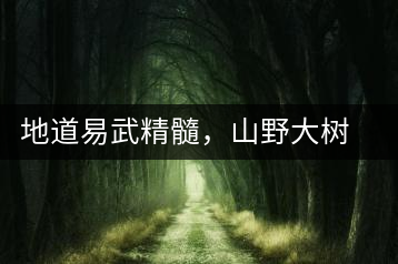 地道易武精髓，山野大樹珍品—普秀易武生態(tài)喬木圓茶即將上市