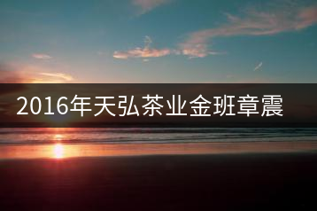 2016年天弘茶業(yè)金班章震撼上市！