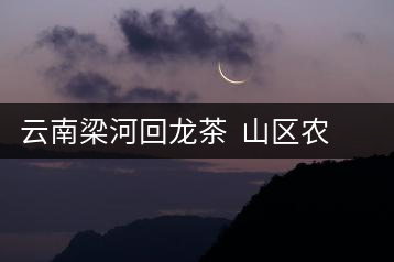 云南梁河回龍茶  山區(qū)農(nóng)民增收的富民產(chǎn)業(yè)