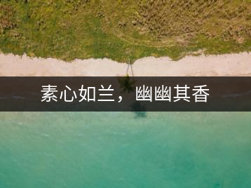 素心如蘭，幽幽其香