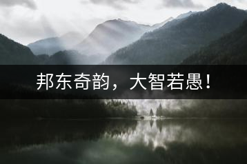 邦東奇韻，大智若愚！
