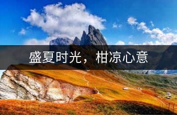 盛夏時光，柑涼心意