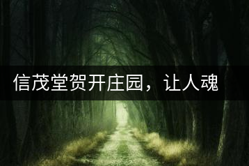 信茂堂賀開莊園，讓人魂?duì)繅?mèng)繞的名山古樹茶