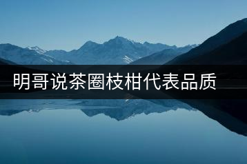 明哥說茶圈枝柑代表品質(zhì)高點(diǎn)，是玩家級(jí)的產(chǎn)品