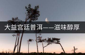 大益宮廷普洱——滋味醇厚，陳香濃郁