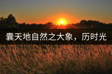 囊天地自然之大象，歷時光十載流轉(zhuǎn)-皇茶一號