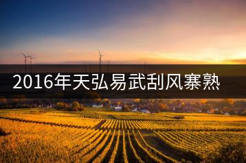 2016年天弘易武刮風(fēng)寨熟茶一泡耐人尋味！