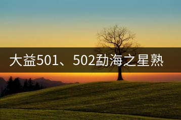 大益501、502勐海之星熟茶