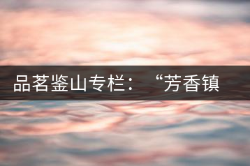 品茗鑒山專(zhuān)欄：“芳香鎮(zhèn)沅”之五一茶