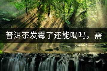 普洱茶發(fā)霉了還能喝嗎，需要怎么處理？