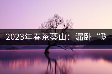 2023年春茶葵山：漏臥“珠江紅：1200元-3200元（有3個檔次）漏臥“大廠茶”：古樹單株8600-9000元／公斤，中樹4800-5200元／公斤，小樹混采2600-2800元／公斤。