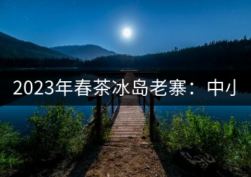 2023年春茶冰島老寨：中小樹混采2500-3000元／公斤，大樹：7000-8000元／公斤，古樹混采：28000-36000元／公斤