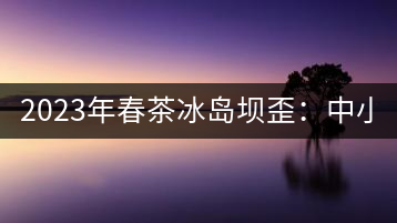 2023年春茶冰島壩歪：中小樹800元／公斤，古樹1400-1600元／公斤