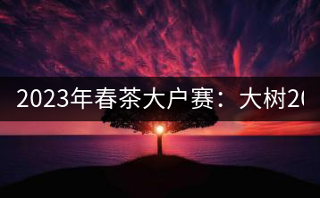 2023年春茶大戶賽：大樹200-300元／公斤，古樹800-1000元／公斤