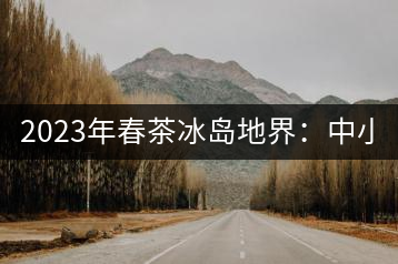 2023年春茶冰島地界：中小樹1300-1500元／公斤，古樹2200~2500元／公斤