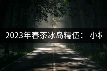 2023年春茶冰島糯伍： 小樹1300元／公斤，古樹：2100~2300元／公斤