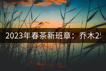 2023年春茶新班章：?jiǎn)棠?500-2800元／公斤 古樹(shù)：4500~6500元／公斤