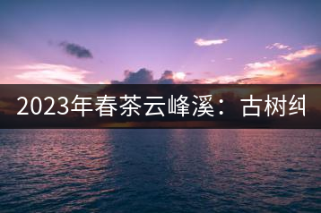 2023年春茶云峰溪：古樹(shù)純料：1200-1500元／公斤，古樹(shù)混采800-1000元／公斤，大樹(shù)500-800元／公斤，小樹(shù)300-500元／公斤