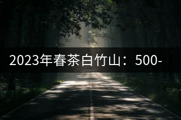 2023年春茶白竹山：500-800元／公斤