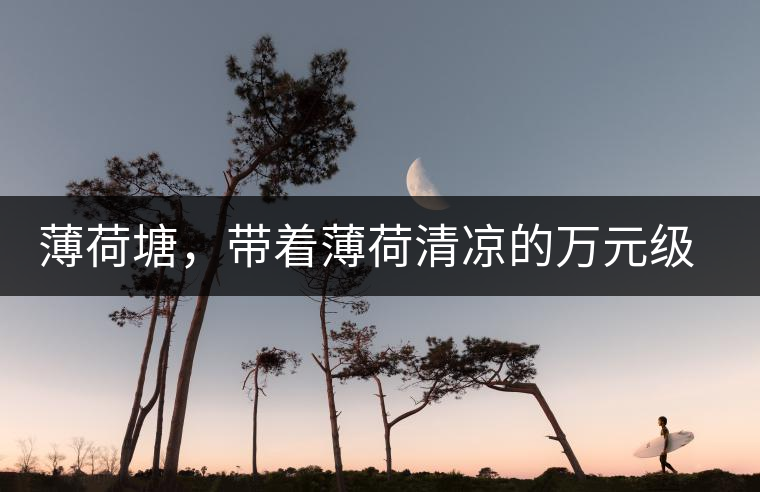 薄荷塘，帶著薄荷清涼的萬元級普洱