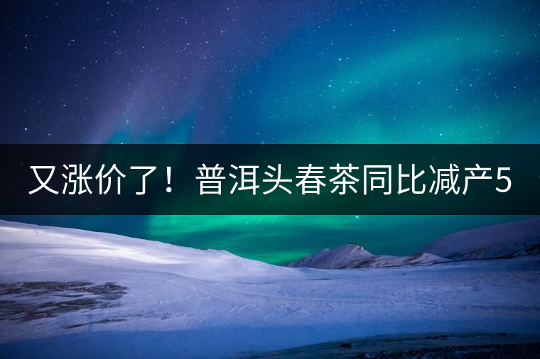 又漲價(jià)了！普洱頭春茶同比減產(chǎn)50%，薄荷塘一類鮮葉需當(dāng)面議價(jià)